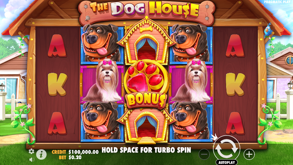 The Dog House