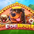 The Dog House Slot – Igraj Besplatno u Demo Verziji
